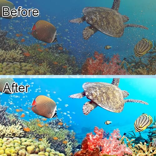 6 Pack Filter Cartridge Compatible with Whisper Bio-Bag Filters, Large Aquarium Filter Cartridges Compatible Replacement with Whisper Filters 20i,40i/IQ20,30,45,60/PF20,30,40,60 and ReptoFilter - size: 6 Pack Large