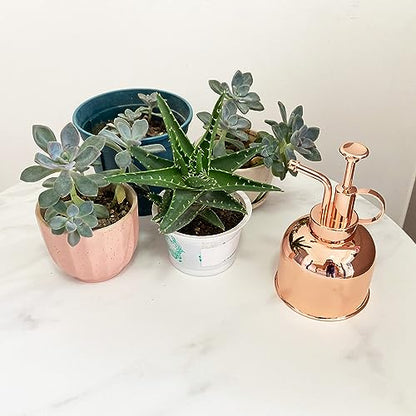 Plant Mister Spray Bottle Stainless Steel Plant Sprayer, Small Watering can Plant Spray Bottle Modern Gardening Tools for Indoor Potted Plants Watering and Spraying - color: 10oz/ Rose Gold