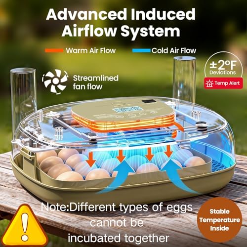 Incubators for Hatching Eggs,24 Eggs Capacity with Automatic Turning, Accurate Temp & Humidity Control, Egg Candler, Air Vent, 360° Viewing for Chicken, Duck, Quail & Goose Eggs