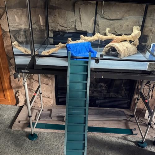 Bearded Dragon Ramp Ladder, Natural Material Reptile Climbing Bridge and Tank Accessories, Versatile Ladder Bridge and Climbing Decor for Lizards and Reptiles (No Hooks 7in(Contains Five ladders))