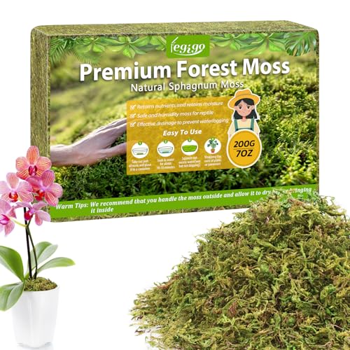7OZ Sphagnum Moss for Plants, 10QT Natural Long Fiber Orchid Moss | Drainage & Moisture Retention, Green Plant Moss for Orchid Repotting, Carnivorous, Succulents, Reptile Bedding & Terrariums - size: 7OZ
