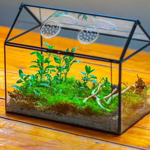NCYP Glass Terrarium with Lid and Air Holes for Snails - 10.2" x 5.9" x 8.2" House Shape Geometric Clear Terrarium, Indoor Tabletop Decor Black (Plants Not Included)