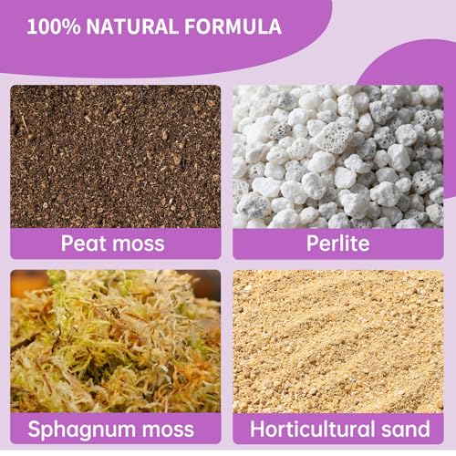 Premium Carnivorous Plant Soil for Venus Fly Trap Live Plants 1qt | New Upgraded Formula with High Drainage & Breathability - color: Carnivorous Plant Soil, size: 1QT