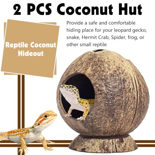 PINVNBY 2 Pcs Natural Coconut Shell Reptile Hide Crested Gecko Tank Accessories for Small Lizard Leopard Gecko Spider Snail Hermit Crab Hideout - size: High-Crowned Style, 2PCS