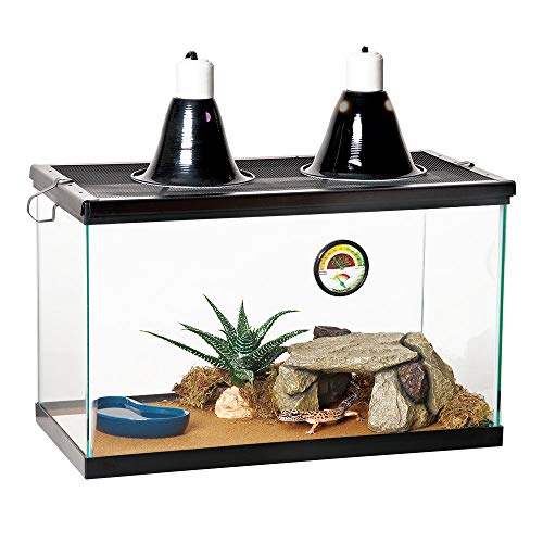 Terrarium Liner