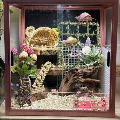 Hermit Crab Climbing Toys Set，Hermit Crab Habitat Tank Accessories,Also for Small Lizard Chameleon Leopard Gecko Reptile