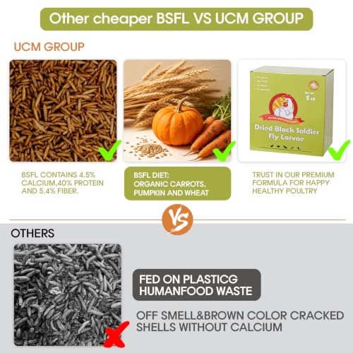 5LB Dried Black Soldier Fly Larvae for Chicken, Poultry, Wild Birds,No Additives, 100% Natural Non-GMO, More Calcium Chicken Treats Than Mealworms - size: 5 Pound (Pack of 1)