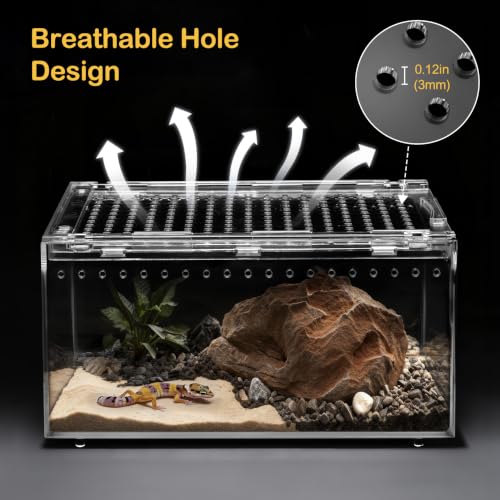 Large Reptile Tank PC Starter Kit,Escape Proof Tarantula Enclosure | Hermit Crab Habitat,Spider Terrarium for Isopods Cage,Insect House, Small Pac-Man Frog Cribs,Bug Container,Beetle Vivarium - size: Large(11.8x7.8x5.9inch)