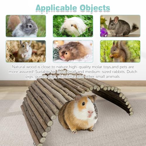 Hamiledyi Chinchilla Wooden Suspension Bridge Platform Toy, Small Animal Climbing Toys for Guinea-Pigs Sugar Glider Squirrel and Other Small Animals (Shrub) - color: Shrub