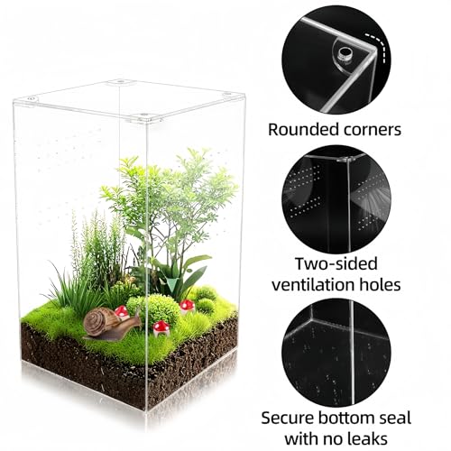 Jumping Spider Enclosure Kit with 3 Mushroom Hides 1 Feeding Dish- 10x6x6 Inch Acrylic Vertical Reptile Tank for Tarantulas, Mantis, Hermit Crabs & Small Pets (Clear)