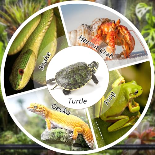 Turtle Bathing Pool Reptile Habitat Reptile Food Dish Water Bowl with Slope Terrarium Decoration for Turtle Horned Frog Lizard Gecko Snake