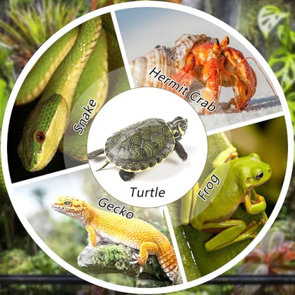 Turtle Bathing Pool Reptile Habitat Reptile Food Dish Water Bowl with Slope Terrarium Decoration for Turtle Horned Frog Lizard Gecko Snake