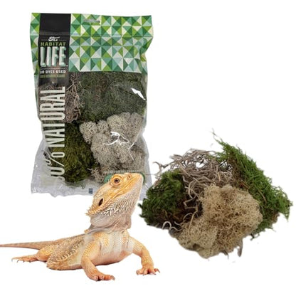 Variety Mix Moss for Terrarium Habitats, Small 1-Pack | Preserved Moss for Reptiles, Amphibians & Invertebrates Terrariums, Humidity Control, Soft, Dye-Free, Family Owned, USA Made - size: Small 1-pack, style: Variety Mix