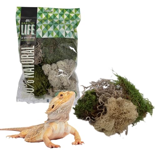 Variety Mix Moss for Terrarium Habitats, Small 1-Pack | Preserved Moss for Reptiles, Amphibians & Invertebrates Terrariums, Humidity Control, Soft, Dye-Free, Family Owned, USA Made - size: Small 1-pack, style: Variety Mix