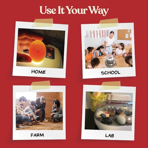 Harris Farms Nurture Right Egg Incubator with Auto Turner, Holds 22 Eggs
