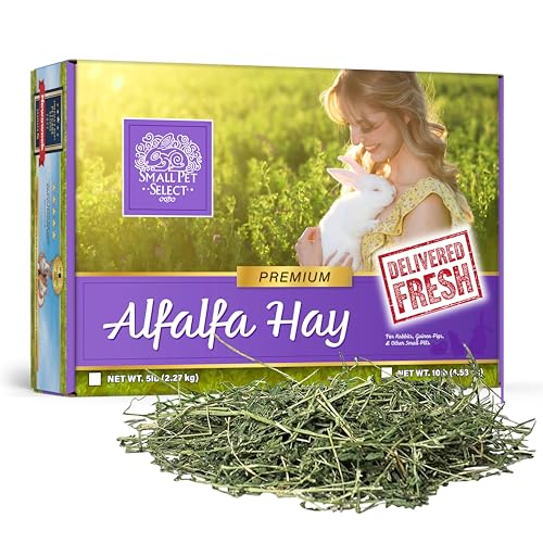 Small Pet Select Alfalfa Hay Pet Food for Young Rabbits, Guinea Pigs, Chinchillas, Tortoises and Other Small Animals, Easy to Store Box, 5 LB - size: 5 Pound (Pack of 1)