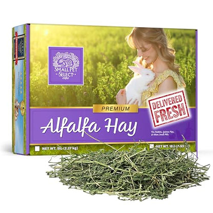 Small Pet Select Alfalfa Hay Pet Food for Young Rabbits, Guinea Pigs, Chinchillas, Tortoises and Other Small Animals, Easy to Store Box, 5 LB - size: 5 Pound (Pack of 1)