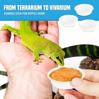 JOR Pet Food and Water Cups, No More Soaking Dishes, Fits on Slim Ledges, No Food Leftover, No Plastic Leftover, Add to Compost or Isopod Tub, Suitable for Gecko Tanks (2 oz, 100 Pack)