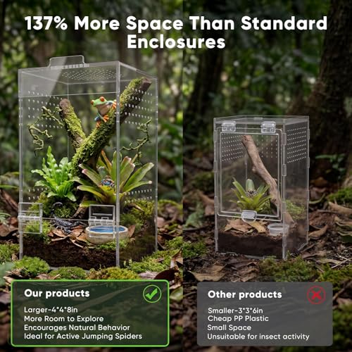 4"×4"×8" Ready-to-Use Acrylic Jumping Spider Enclosure No Assembly Needed | 360° Ventilation, Mini Reptile Terrarium for Jumping Spider, Mantis, Snail – Ideal for Desk, Living Room & Bedroom