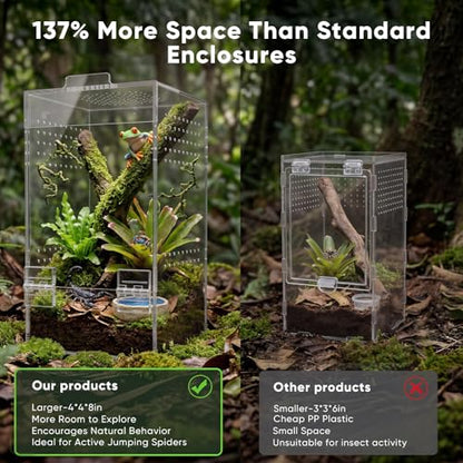 4"×4"×8" Ready-to-Use Acrylic Jumping Spider Enclosure No Assembly Needed | 360° Ventilation, Mini Reptile Terrarium for Jumping Spider, Mantis, Snail – Ideal for Desk, Living Room & Bedroom