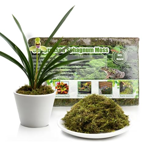 Compressed Sphagnum Moss for Plants & Reptiles (1pc)– Dried Peat Moss, Moisture-Retentive for Indoor Plants, Orchids, Terrariums, Reptile Bedding (100% Natural, Reptile-Safe - size: 1PCS