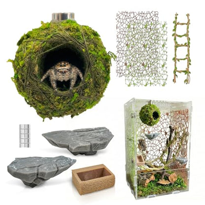 Jumping Spider Enclosure Accessories Kit - Magnetic Moss Ball Hideout, 2 Rock Ledges, Feeding Bowl, Climbing Mesh Nets & Rope Ladder - Natural Forest Habitat Decor for Regal (Moss Cave) - size: Moss Cave without Rope