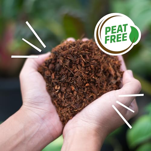 Back to the Roots 100% Organic Mulch, 58 Quart (2 Cubic ft), Expanding Coconut Husk Block for Gardening