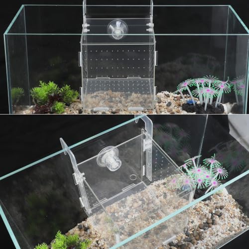 Fish Breeder Box for Fish Tank, Acrylic Fish Tank Divider, Easy to Install, 5.91"x5.91"x5.91", Clear, 1 Set - size: 5.91"x5.91"x5.91"