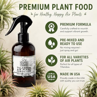 Cute Farms Tillandsia Air Plant Fertilizer | Gentle Daily Use Formula | Formulated Nutrients for Air Plants (8 oz Spray Bottle, 3 Pack) - size: 8 oz (3 Pack)