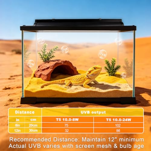 T5 UVB Reptile Light Fixture Combo Kit 8W 10.0 – Complete HO UVB Light for Reptiles with 12.44" Terrarium Hood, Desert UVB Bulb for Bearded Dragon Gecko Tortoise Lizard – Easy to Install and Use - size: 10.0-12.44 in