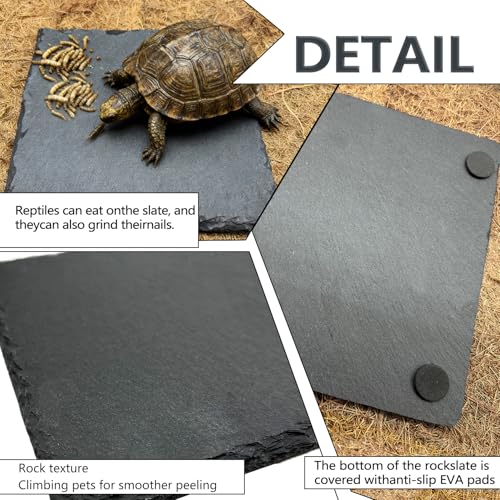 Reptile Basking Platform 2Pcs 6.0''x6.0'' Turtle Rock Plate Slate Feeding Food Dish Bowl Bathing Rest Terrace for Chameleon Lizard Bearded Dragon Gecko Snake Frog Newt (6.0''/15CM) - size: 6.0 inches