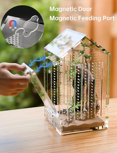 NiHome Clear Acrylic Jumping Spider Enclosure, Magnetic Tarantula Terrarium | Acrylic Praying Mantis Enclosure, Magnetic Opening Door & Feeding Port, Escape-Proof Reptile Habitat, 1.5mm Ventilation Holes
