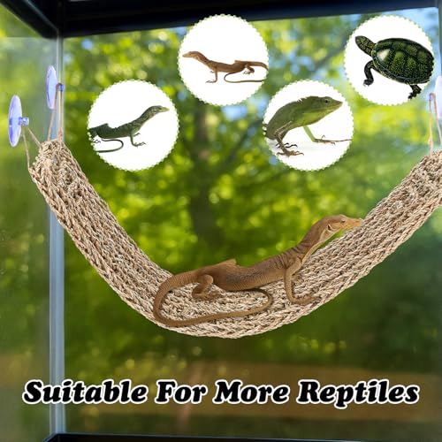 2 Pcs Bearded Dragon Hammock Reptile Lounger, Natural Seagrass Climbing Habitat Decor with Jungle Theme for Lizards, Geckos, Snakes, Iguanas, Amphibians and Terrarium