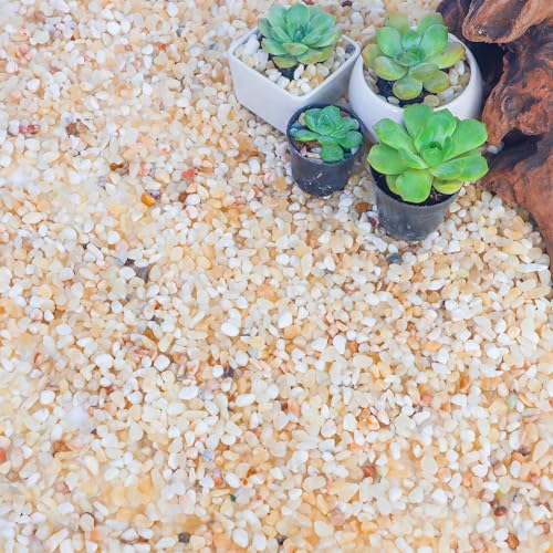 CJGQ 18lb Aquarium Gravel for Plants,1/5 Inch Natural Decorative River Rocks for Succulent and Cactus Landscaping, Natural Small Rocks for Fish Tanks, Vases & Terrariums - color: Mixed Beige, size: 18lb