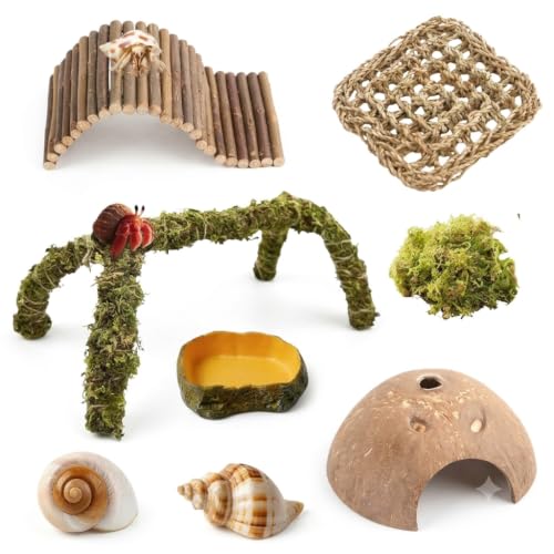 Hermit Crab Accessories – 8PCS Natural Hermit Crab Toys Climbing Bridge, Shells, Coconut Hideout, Moss and Plants for Hermit Crabs Habitat & Reptile Tank Decor - color: S-HC-01C