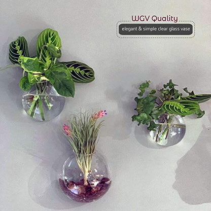 WGV Wall Hanging Planter Terrarium Bulk, Diameter 6", Clear Mounted DIY Succulents Air Glass Floral Container Vase, Tea Light Votive Candle Holder for Decoration 6 Pieces - size: 6"D