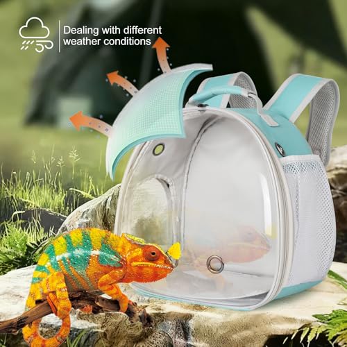 Bearded Dragon Travel Backpack with Harness and Leash Set,Lizard Backpack Travel Carrier,Space Capsule Clear Bubble Window Astronaut Reptile Carrier Backpack, Airline Approved - color: Green