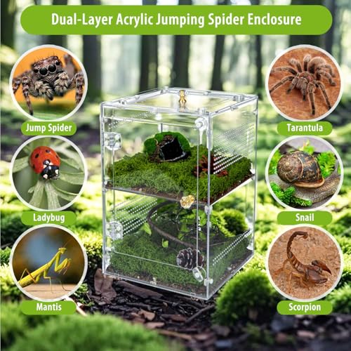 Large Jumping Spider Enclosure, 2 in 1 Ventilated Reptile Terrarium for Praying Mantis,Arboreal Tarantula,Crested Gecko, 12"*8"*8" Acrylic Habitat with Removable Divider,Front Opening & Top Lid - size: Large-12''x8''x8''