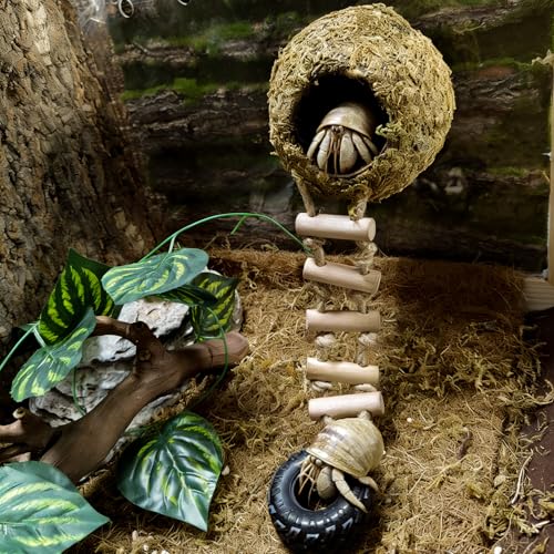 Hermit Crab Moss Coconut Shell Hideout with Climb Ladder,Leopard Gecko Hide Hut with Moss and Sea Shells,Hermit Crab Climbing Tank Accessories for Crested Gecko,Reptiles