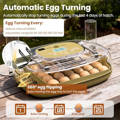 Incubators for Hatching Eggs,24 Eggs Capacity with Automatic Turning, Accurate Temp & Humidity Control, Egg Candler, Air Vent, 360° Viewing for Chicken, Duck, Quail & Goose Eggs