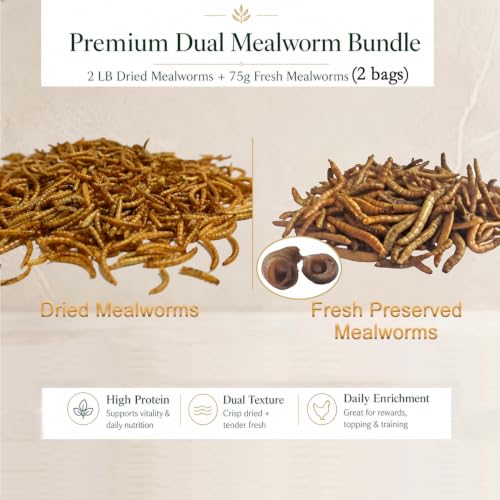2LB Dried Mealworms +2 Preserved Worm Packs for Chickens & Birds | High-protein treat for chickens, ducks, wild birds, reptiles, turtles & fish