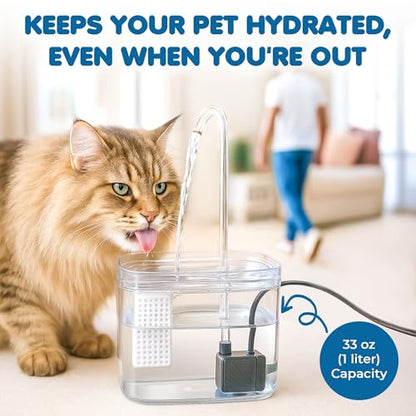 SunGrow Automatic Flowing Hydration with Filter, Silent USB Pump Cat Water Fountain, Transparent Feeder Bowl for Indoor Felines, Ferrets, and Small Animals (6" x 5" x 5")