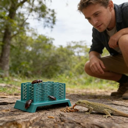 Chameleon Feeder Escape-Proof Pet Feeder | Bearded Dragon Bowl for Terrarium Tank Chameleon Lizard Gecko Frog Amphibians Hunting
