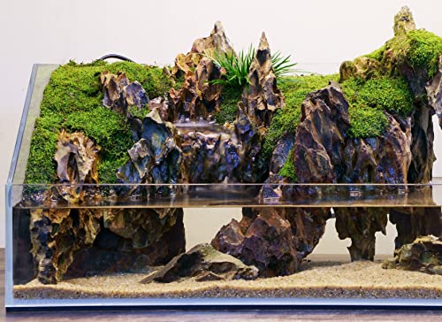 Namale Aquarium Sand Fine Natural River Substrate 4L Planted Tank | Freshwater and blackwater biotope, planted tank - size: M,3Lx1pk