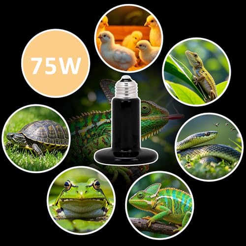 Aiicioo 75W Black Ceramic Heat Emitter 2Pack No Light Heat Bulb for Reptile Emitting Heat Lamp Bulb for Bearded Dragon Lizard Tortoise Turtle Snake Brooder Coop