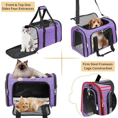 Soft-Sided Cat/Dog/Pet Carrier, Collapsible Pets Travel Carriers | for Big Cats/Small Dogs with Shoulder Strap & Removable Mat, Mesh Puppy Carry Bag, Up to 16 Lbs, TSA Airline Approved(Purple) - color: Purple, size: 17"L x 11"W x 11"H