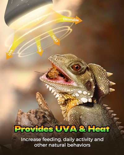 Reptile Heat Lamp, Simulate Natural Sunlight Heat Light Bulbs 2 Pack 100W Amphibians Basking Heat Lamp Bulbs for Reptiles, Bearded Dragon, Lizard, Turtle, Chicken
