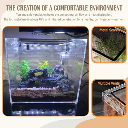 Reptile Terrarium, Jumping Spider Enclosure Starter Kit, Leopard Gecko Habitat Container, 8"x8"x6"Reptile Tank for Tarantula, Hermit Crab, Insect, Fish, Frog, Small Bearded Dragon, Lizard - size: 8"x8"x6"