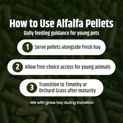 High Desert Delight Alfalfa Pellets for Young Rabbits, Guinea Pigs, 31 oz | Protein Rich Compressed Fiber Formula, Ideal For Growing Kits, Great Calcium Source, Hand Packed Fresh in the USA, Low Dust - size: 1.94 Pound (Pack of 1)