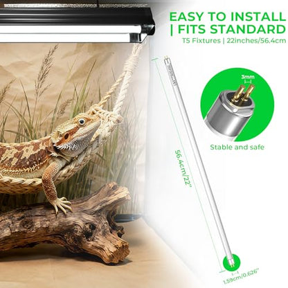 GlowUp 22 Inch T5 HO 10.0 24W Bearded Dragon UVB Light Bulb, UVA UVB Reptiles Light Bar Tube Lamp, UVB Reptile Light Bulb for Leopard Gecko Tortoise Chameleon Tropical Desert Reptile Terrarium -2Pack